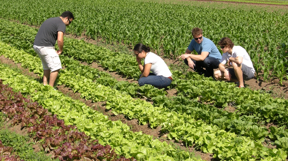 Award-winning Apeel Science team in the a large garden. 